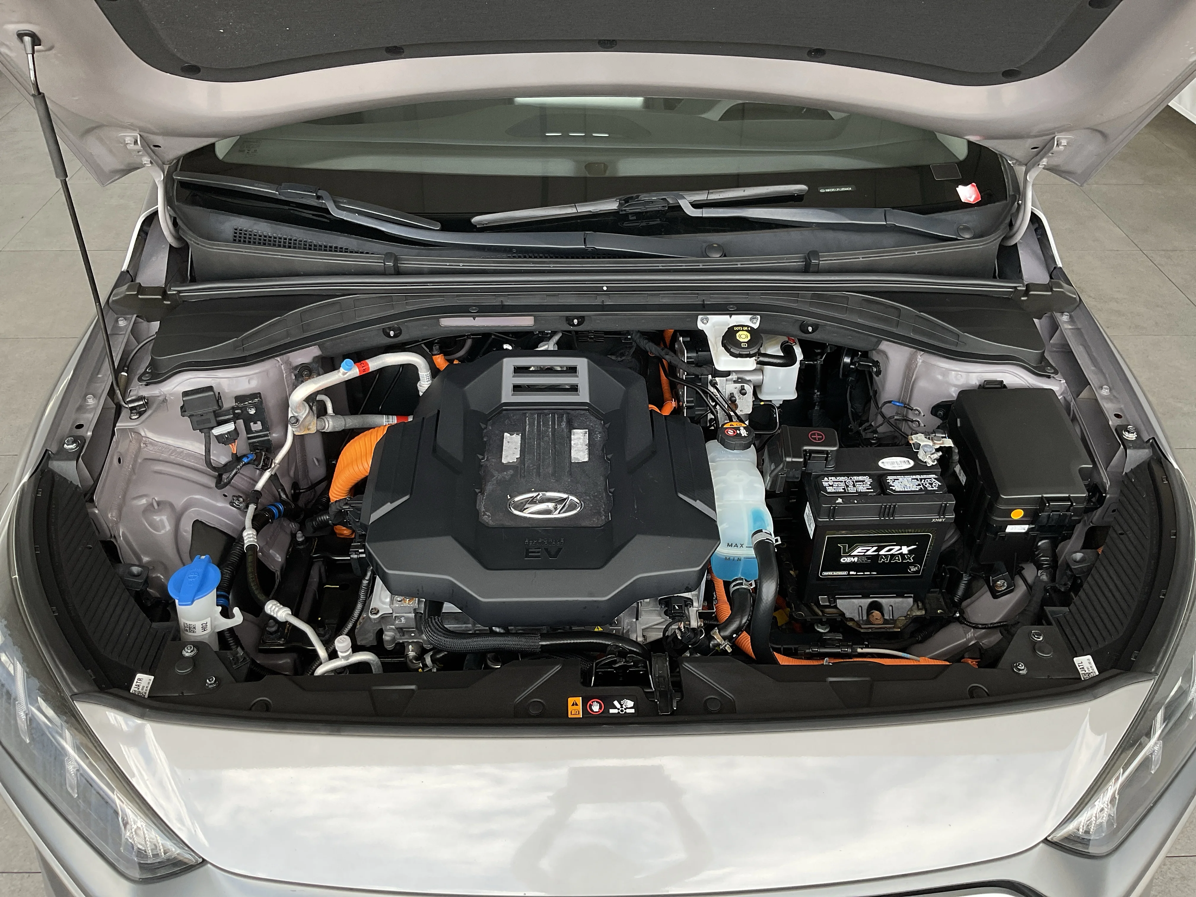 Interior 6