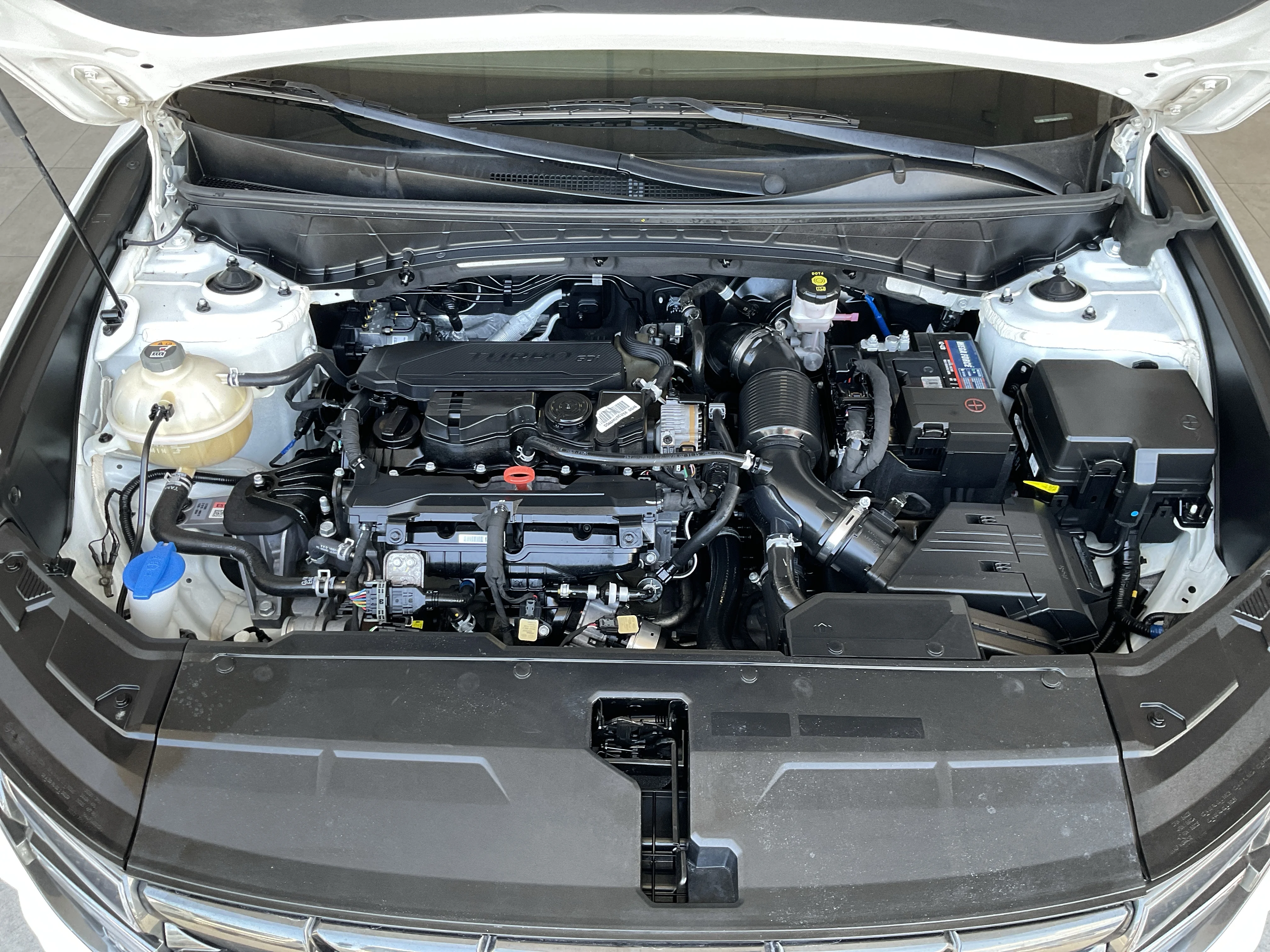 Interior 6