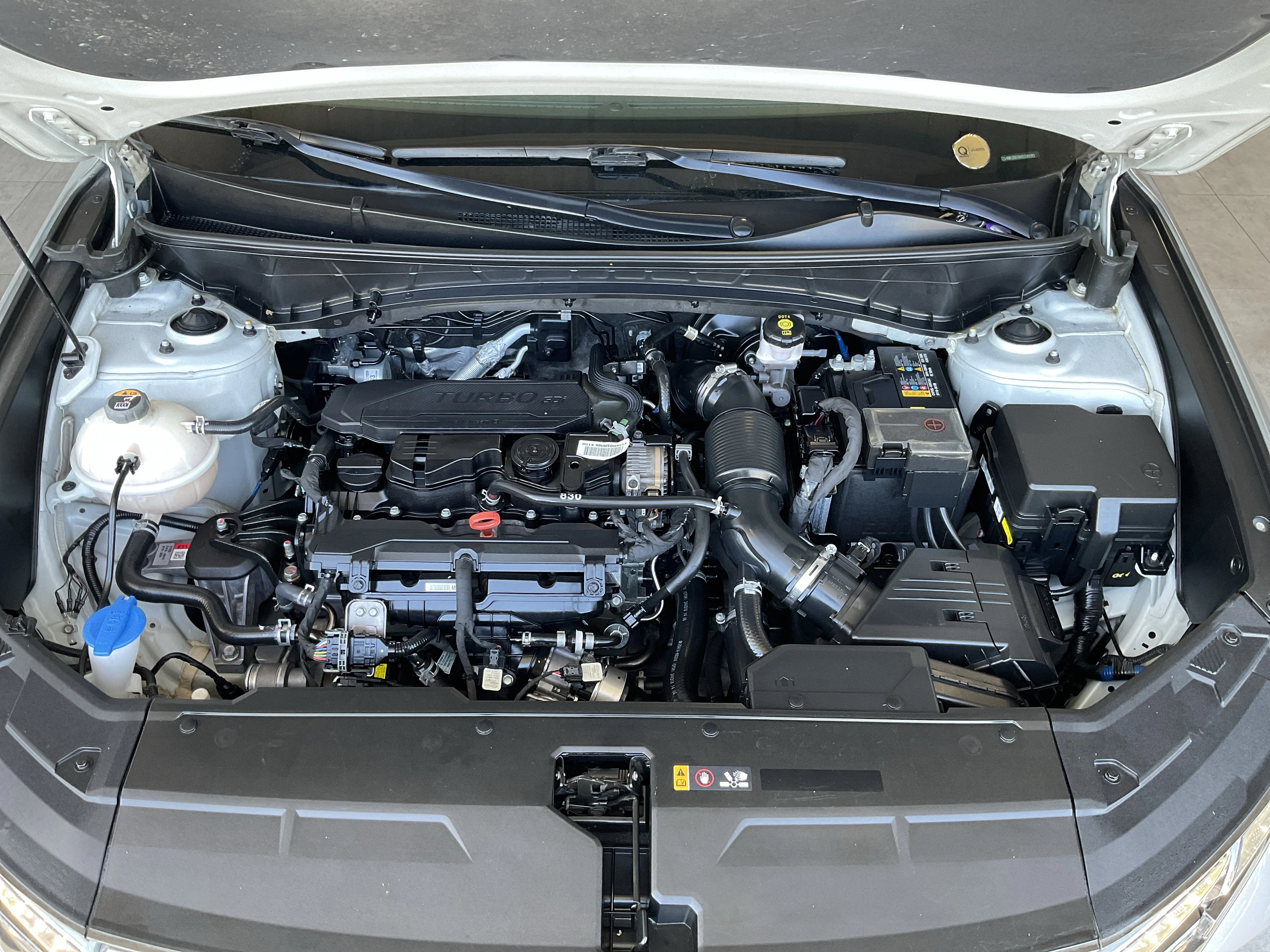 Interior 6