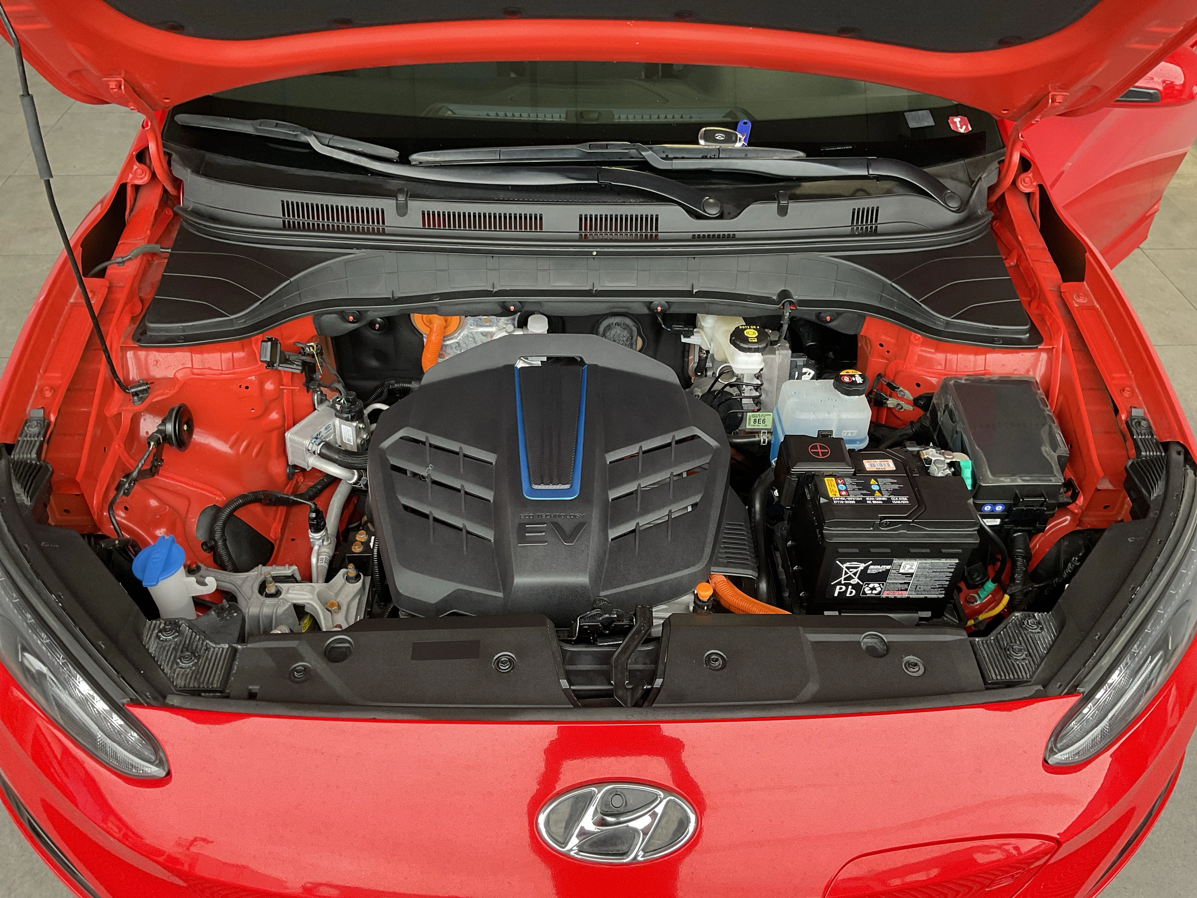 Interior 6